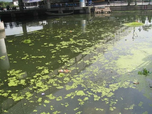 城市黑臭河道如何治理？河道黑臭水體治理思路