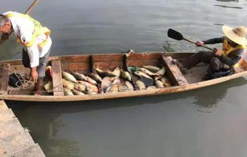 廣州旺旺食品廢水直排，永和河大量魚類死亡